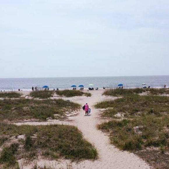 Meet your Posher, Cindy - Picture 1 of 1